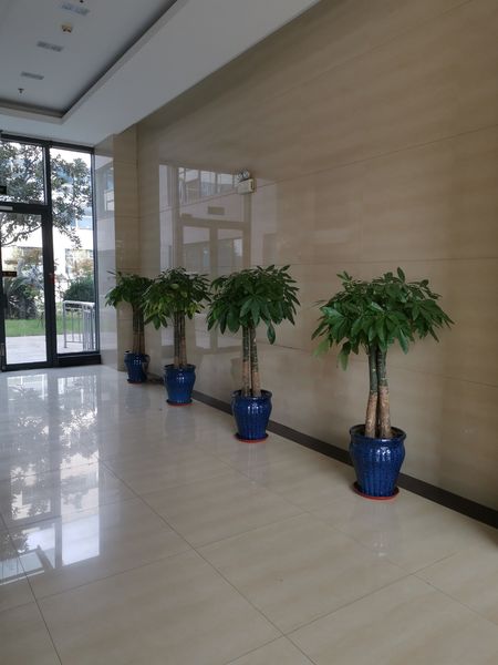 Changzhou Pengyi Textile Co., Ltd.
